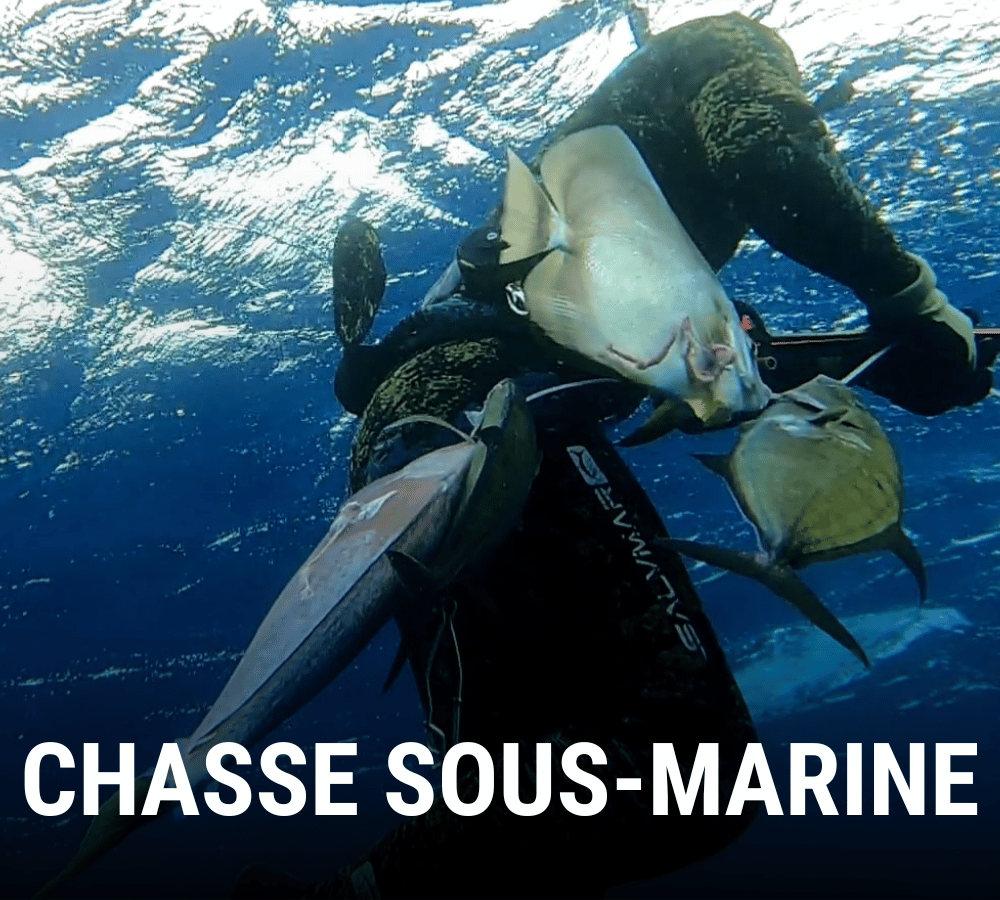 sth-marine-peche-sous-marine-1.jpg